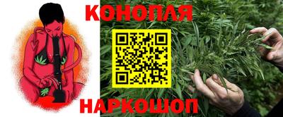 Альфа ПВП Пушкино