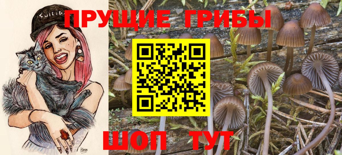 Псилоцибиновые грибы мицелий  Псилоцибиновые грибы GOLDEN TEACHER  Вход с VPN  Пыть-Ях 